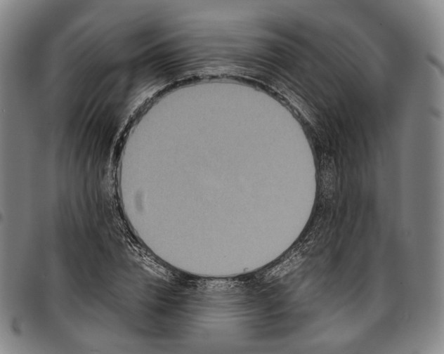 X0000096670832200802191327