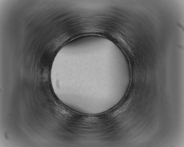 X0000096670833200802191327