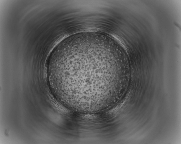 X0000096670835200802191328