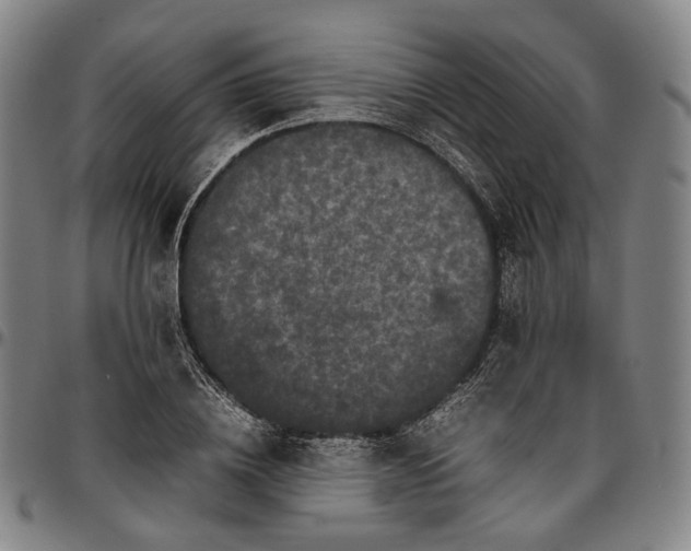 X0000096670836200802191328