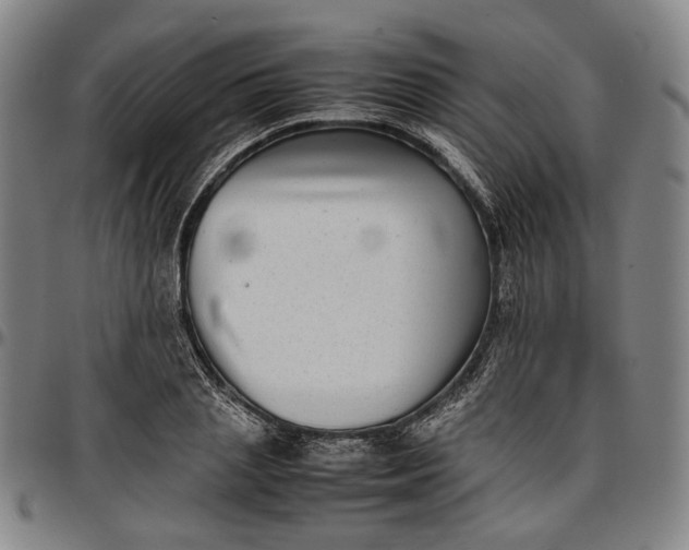 X0000096670837200802191328