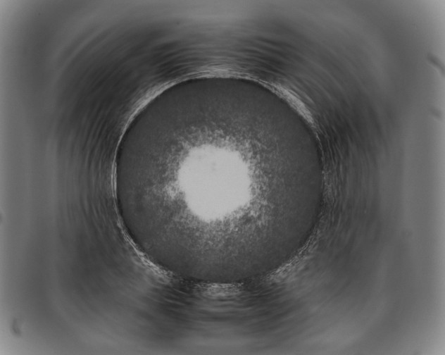 X0000096670839200802191328