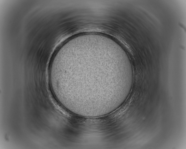 X0000096670840200802191328