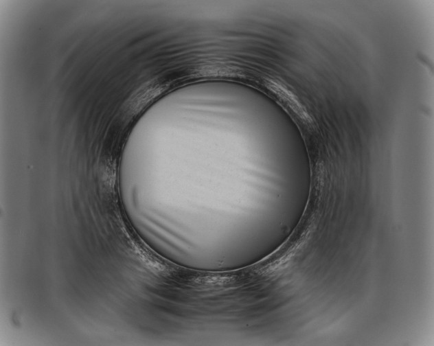 X0000096670841200802191328