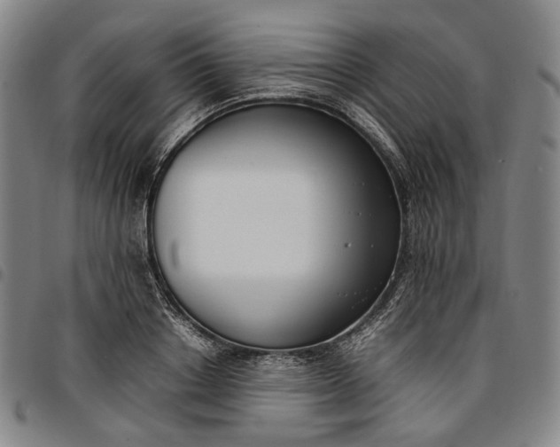 X0000096670842200802191328