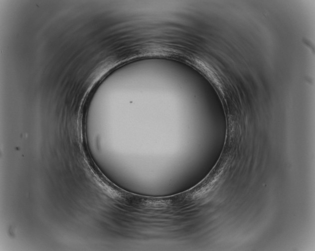 X0000096670843200802191328