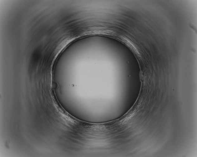 X0000096670844200802191328