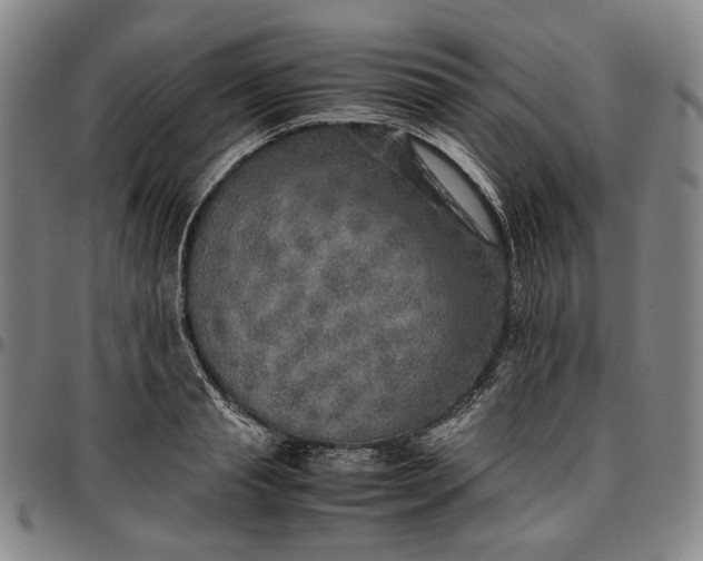 X0000096670845200802191328