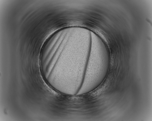X0000096670847200802191328
