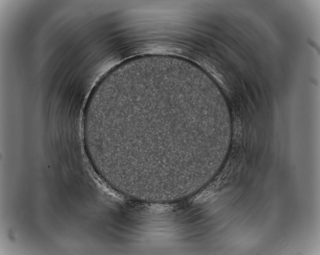 X0000096670848200802191328