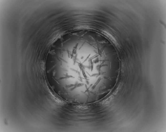 X0000096670849200802191328