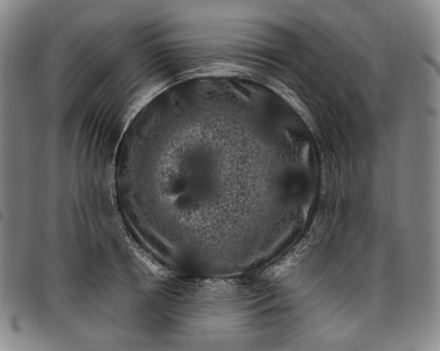 X0000096670850200802191328