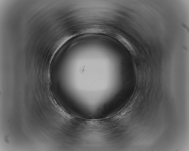 X0000096670852200802191328
