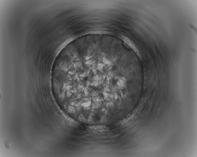X0000096670853200802191328