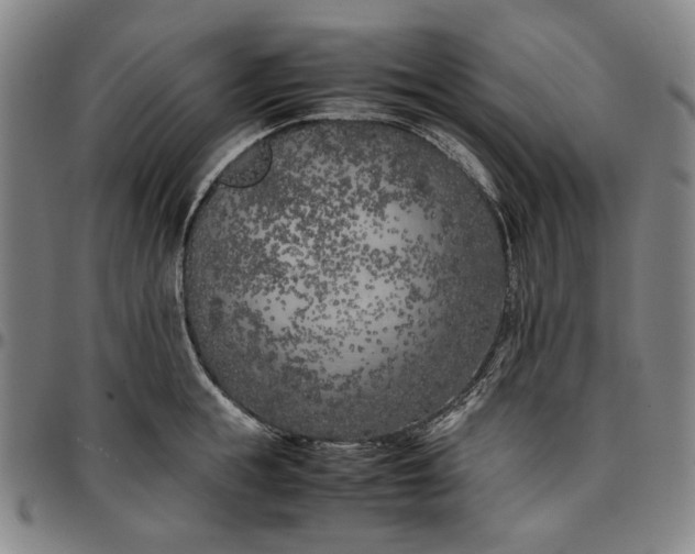 X0000096670855200802191328