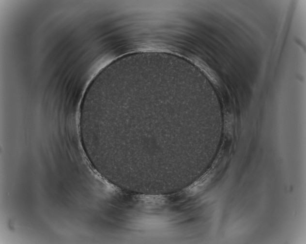 X0000096670856200802191328