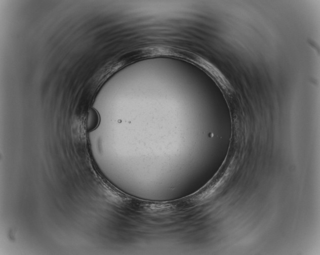 X0000096670857200802191328