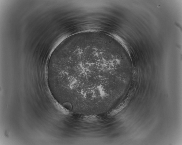 X0000096670859200802191328