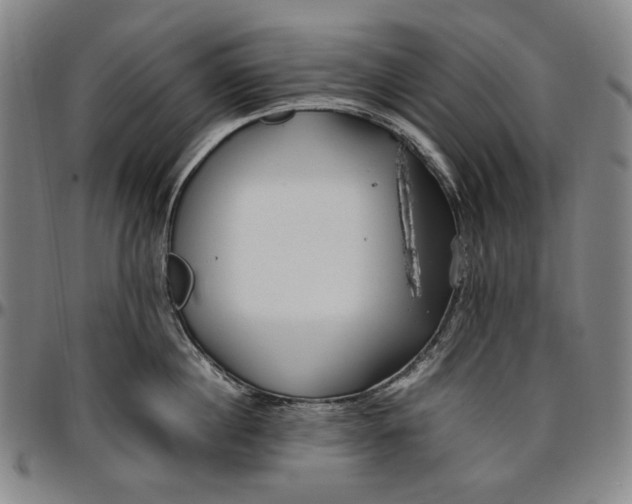 X0000096670860200802191328