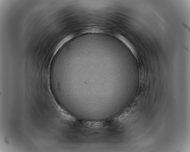 X0000096670861200802191328