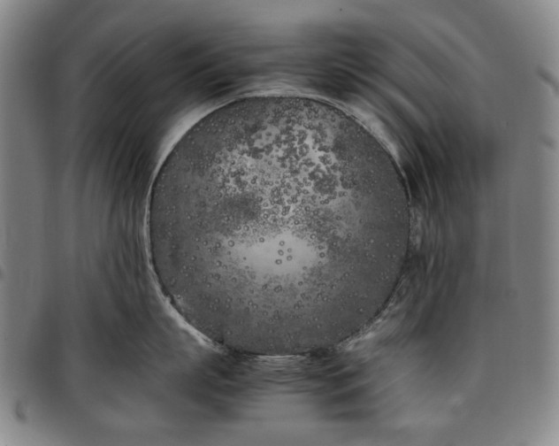 X0000096670863200802191328