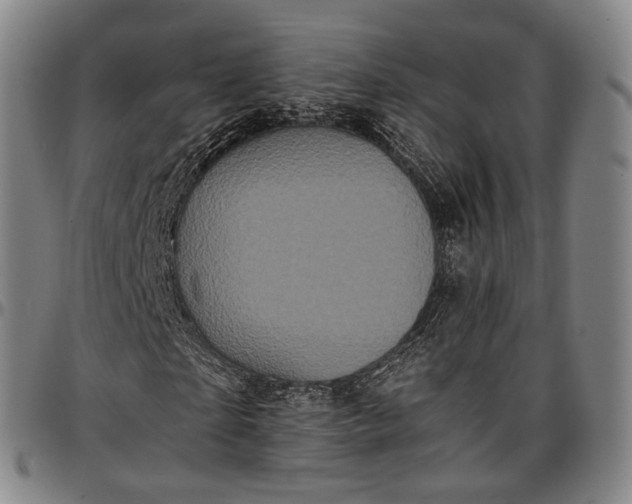 X0000096670865200802191327