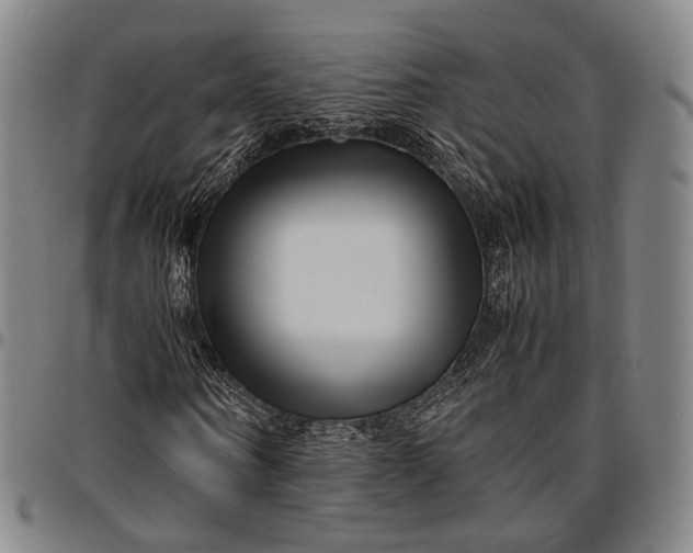 X0000096670866200802191327