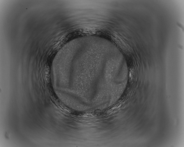 X0000096670867200802191327