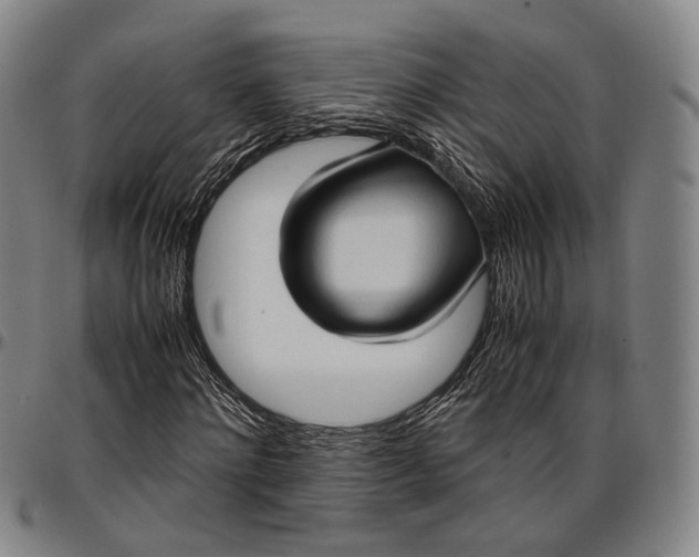 X0000096670868200802191327