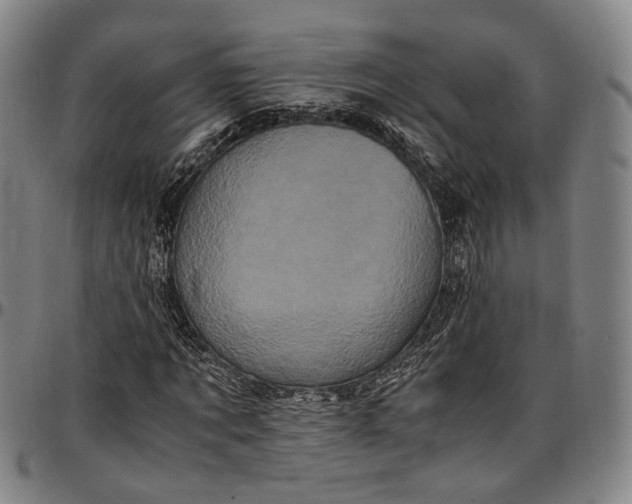 X0000096670869200802191327