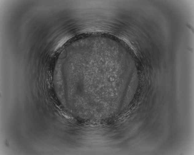 X0000096670871200802191327
