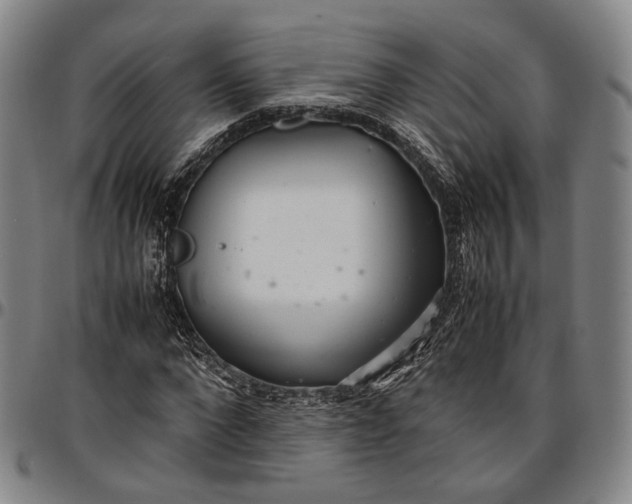 X0000096670872200802191327