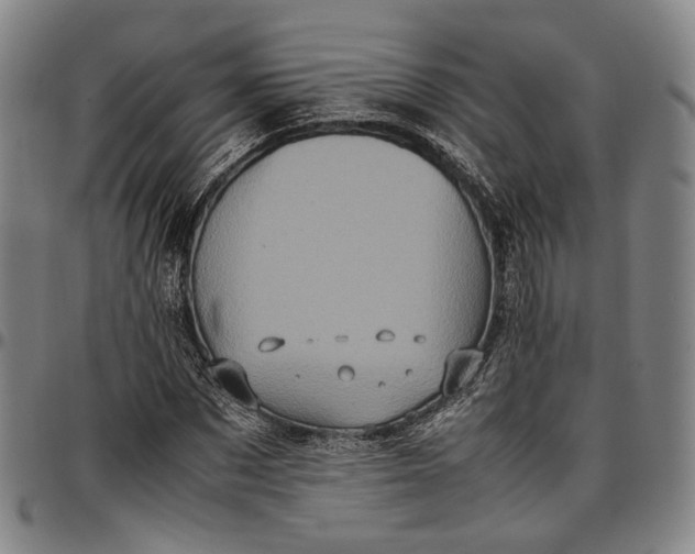 X0000096670873200802191327