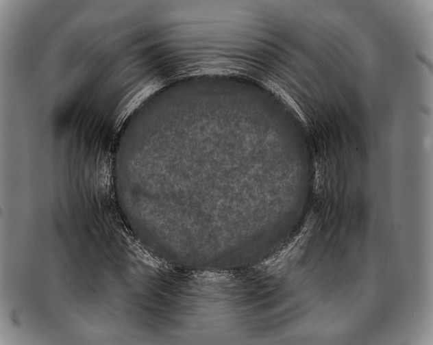 X0000096670874200802191327