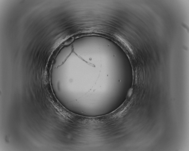 X0000096670876200802191327