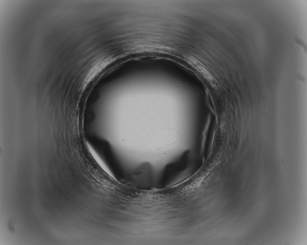 X0000096670877200802191327