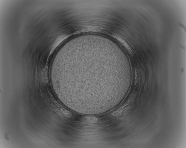 X0000096670878200802191327