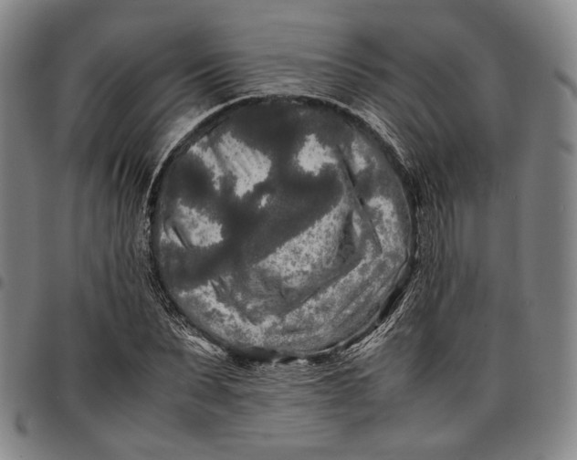 X0000096670879200802191327