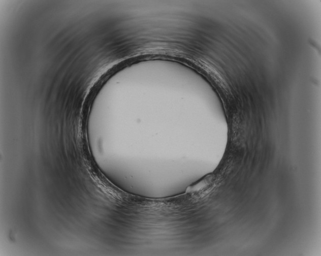X0000096670880200802191327