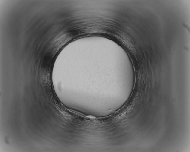 X0000096670881200802191327