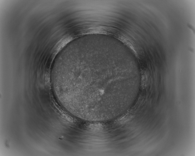 X0000096670882200802191327