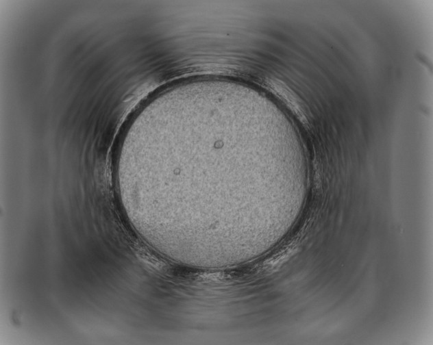 X0000096670883200802191327