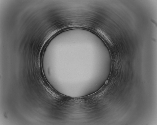 X0000096670884200802191327