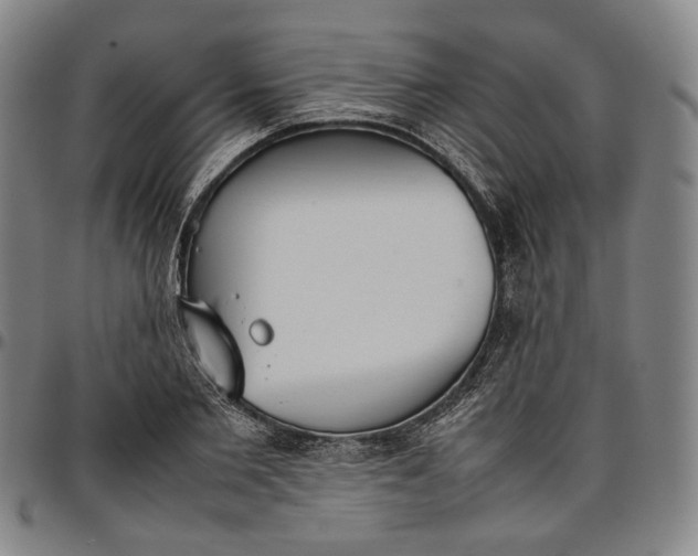 X0000096670885200802191327