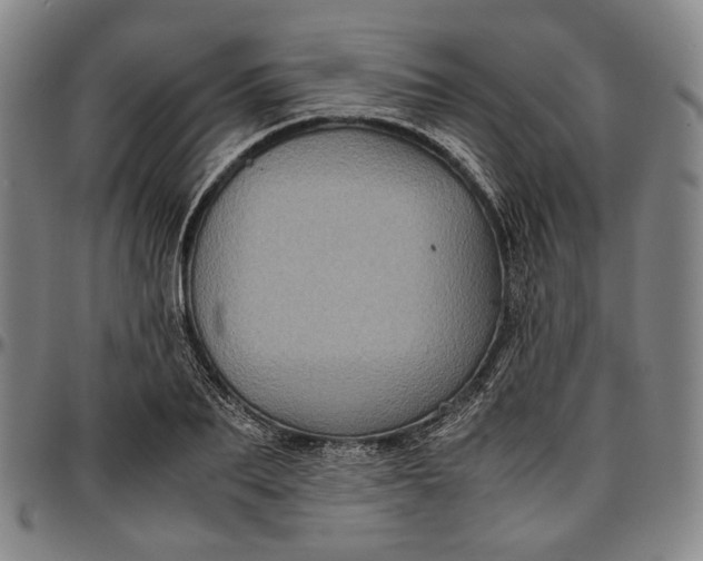 X0000096670887200802191327