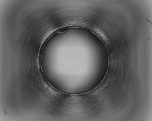 X0000096670888200802191327