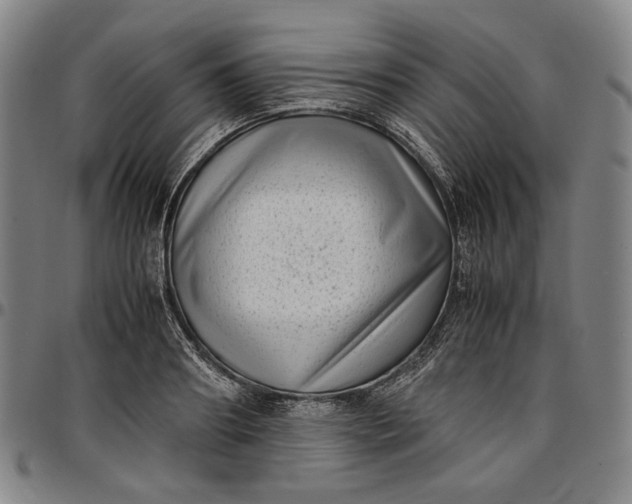X0000096670890200802191327
