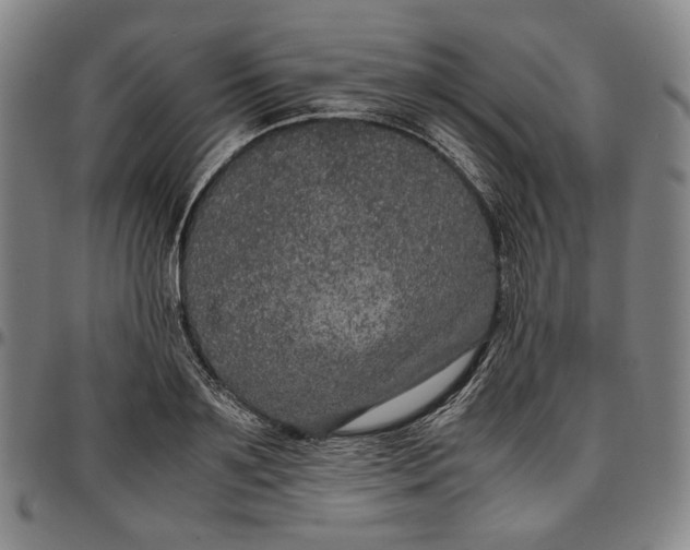 X0000096670891200802191327
