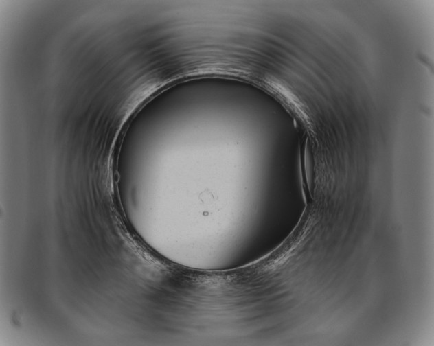 X0000096670892200802191327