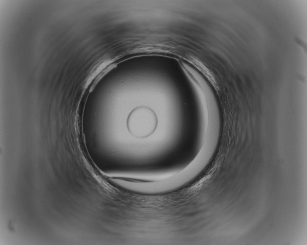 X0000096670893200802191327